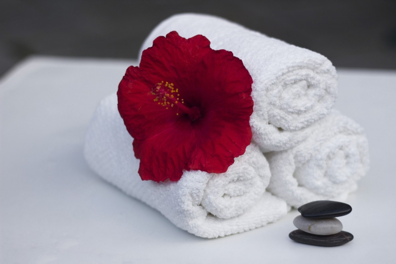 chambre-hote-CONSEGUDES-min_towel_hibiscus_clean_care_salon_spa_white_bath-869834