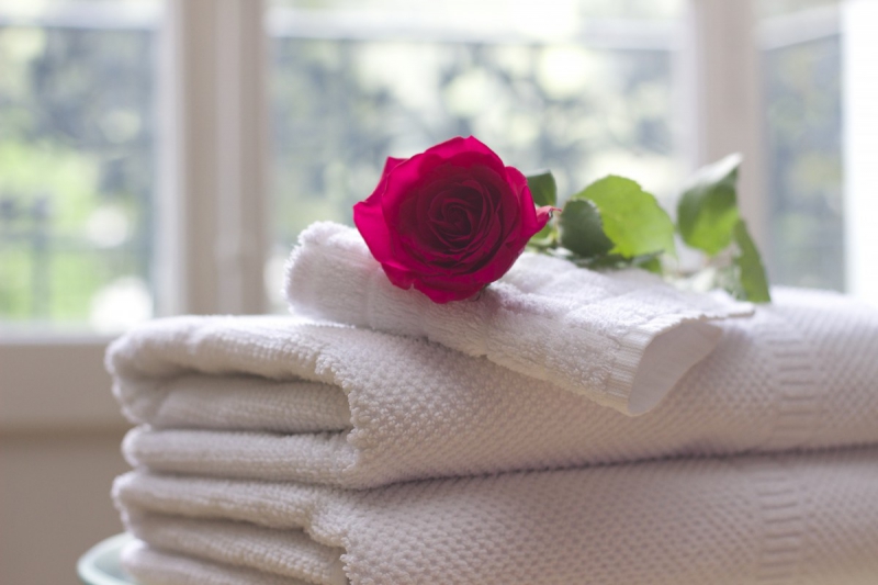 chambre-hote-CONSEGUDES-min_towel_rose_clean_care_salon_spa_white_bath-731641